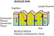 cell1.jpg